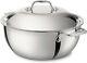 All-clad D3 Polished Stainless Steel Dutch Oven & Dome Lid 5.5 Qt