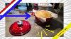 Hamilton Beach 3 Qt Enameled Cast Iron Dutch Oven W Lid