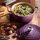Le Creuset 3.7 Qt Classic French Dutch Oven Provence / Blue Bell Purple New