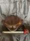 Vintage Copco Michael Lax Denmark Mocha D4 Enameled Cast Iron Dutch Oven With Lid