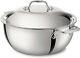 Cocotte En Acier Inoxydable Poli All-clad D3 Avec Couvercle D5 En Dôme 5,5 Qt
