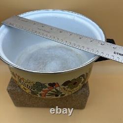 Faitout en émail Hendlers Pointerware design floral MCM ensemble vintage en émail